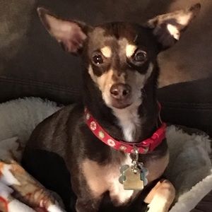 Meet your Posher, Joan